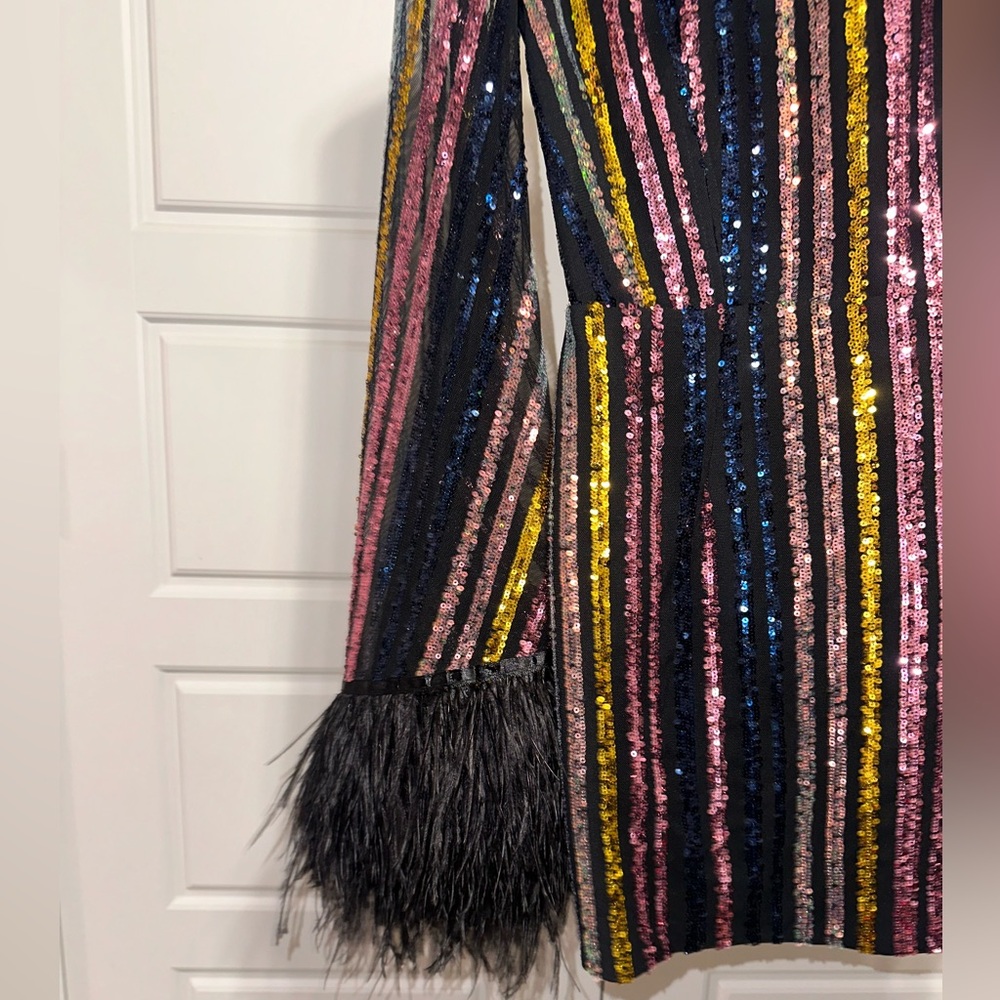 Bronx and Banco Multicolor Sequin Stripe Mini Dress with Feather Cuffs - Picture 2 of 5